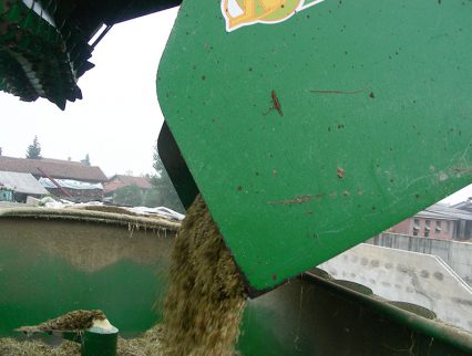 Dettagli