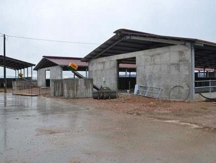 Dettagli